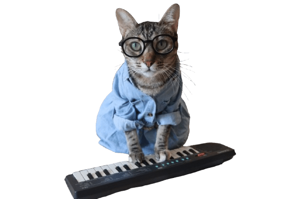 paki romera img 1350