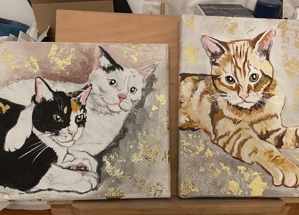 paki romera img 4346 1