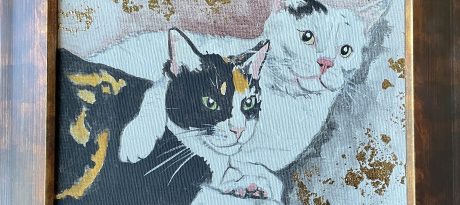 paki romera img 4465