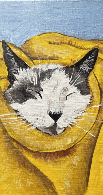 paki romera img 5865