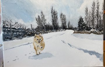 paki romera img 6502