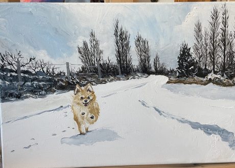 paki romera img 6502